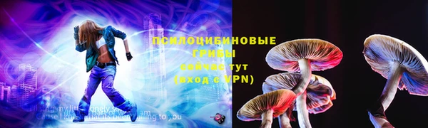 PSILOCYBIN Зеленодольск