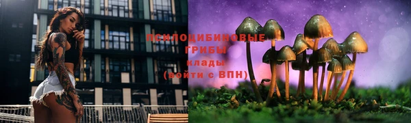 трава Ладушкин