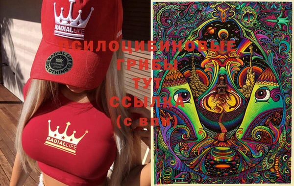 трава Ладушкин