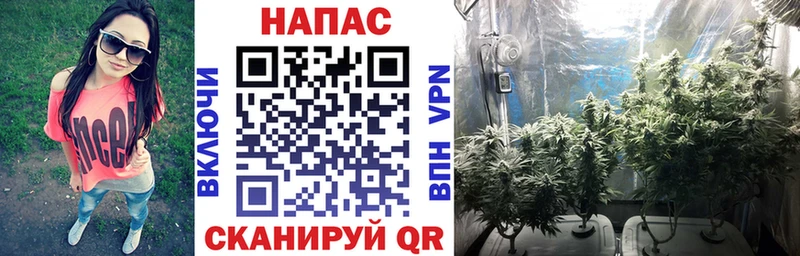 Шишки марихуана индика  Подпорожье 